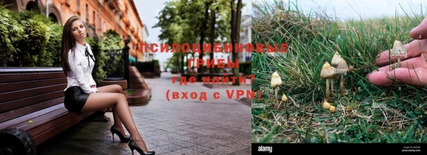 метадон Армянск