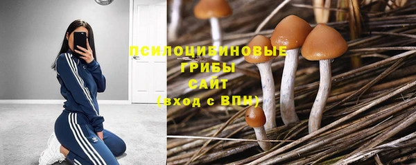 метадон Армянск