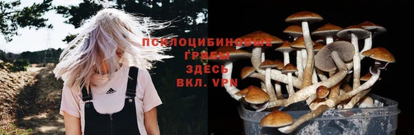 скорость Арсеньев